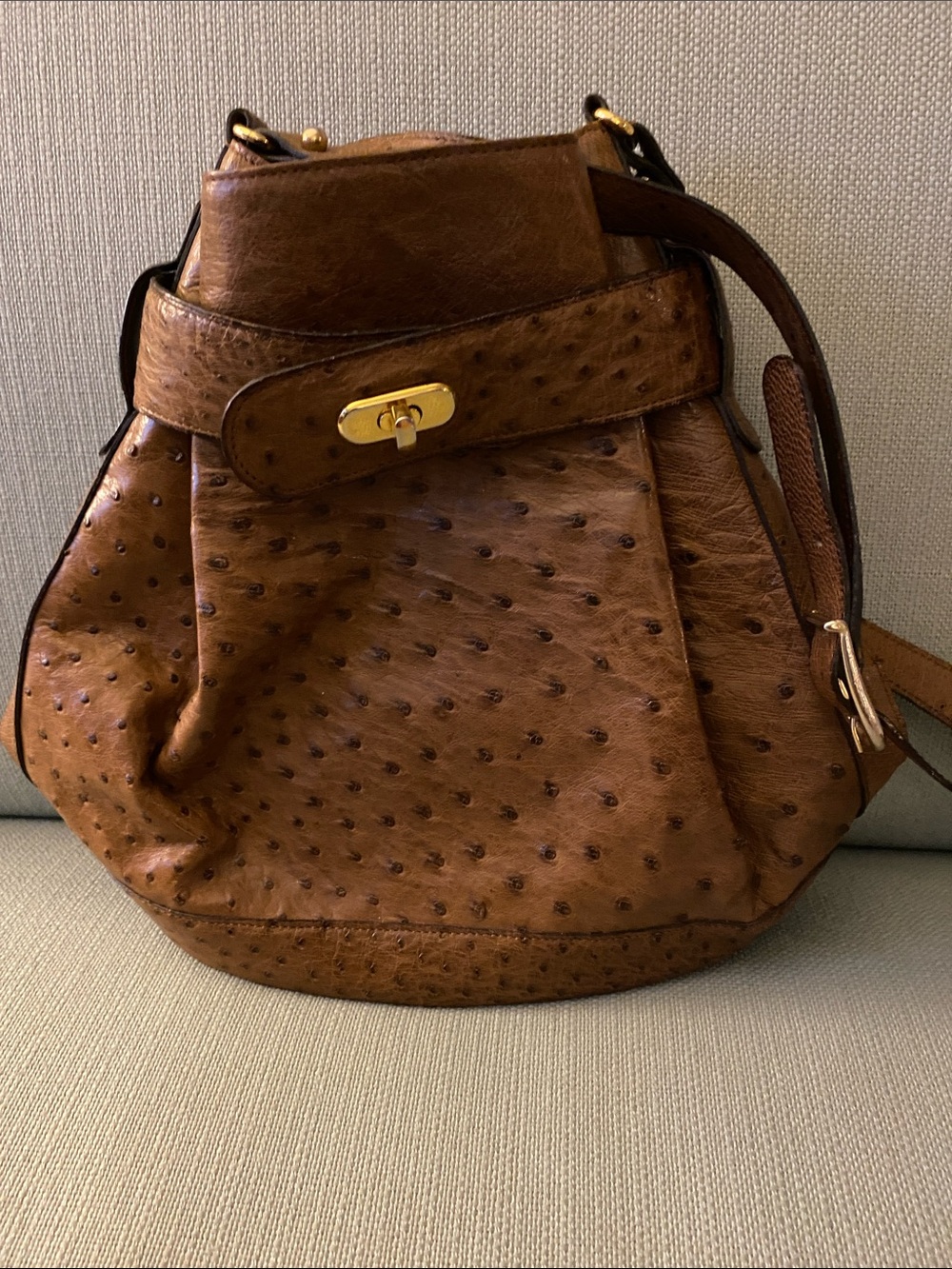 Vintage Ostrich Leather Crossbody Satchel  Bag